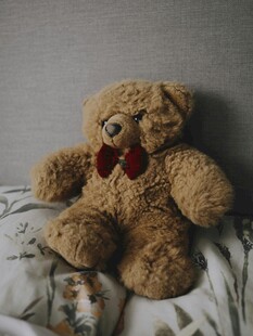 可爱泰迪熊坐于柔软织物上