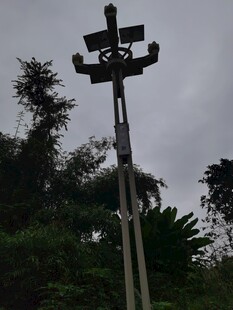 户外监控杆及周边植被