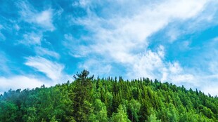 青山绿树间的蓝天白云