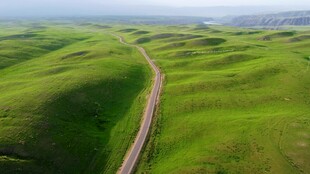 蜿蜒公路穿行翠绿原野