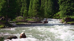 自然风景自愈系视频素材