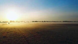 日出下的广袤开阔原野