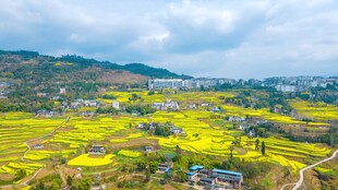 自然风景自愈系视频素材