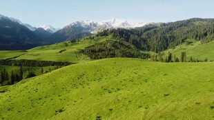 翠绿山野间的壮丽风光