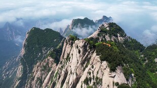 自然风景自愈系视频素材