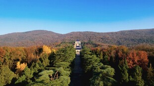 秋日山林中的观景塔