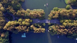 空中俯瞰葱郁河岸景观