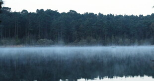自然风景自愈系视频素材