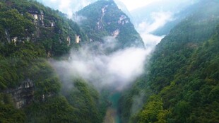 山间云雾缭绕的壮美景色