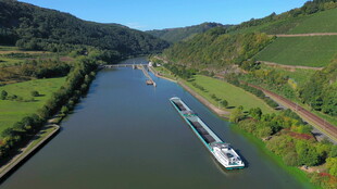 莱茵河上的游船风光