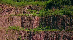 陡峭岩壁上的绿色生机