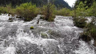 山间湍急溪流风光