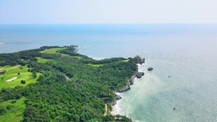 自然风景自愈系视频素材