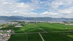 广袤绿野与远山蓝天美景