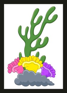 多彩珊瑚礁景观