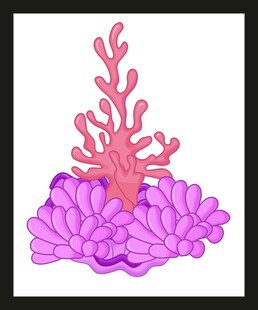 紫色珊瑚插画