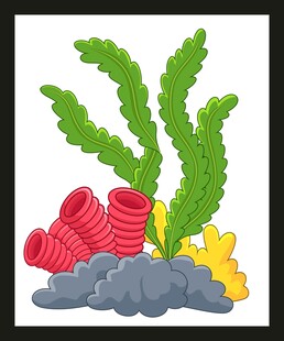 海底珊瑚与海草景观