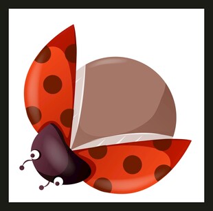 卡通风格的红色斑点瓢虫