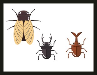 三只不同种类的甲虫