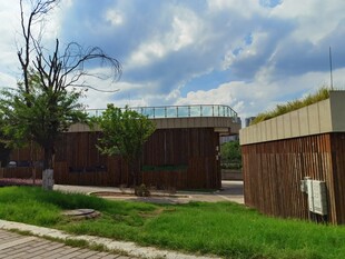 户外独特建筑与绿植景观