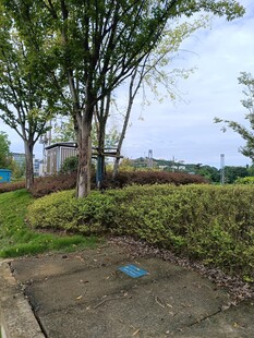 户外绿意盎然的园林景致