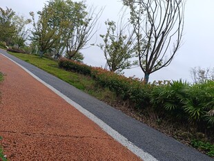 户外公园彩色步道风景