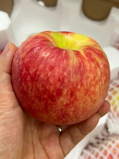 手捧鲜艳红苹果