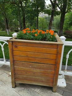户外木质花箱盛放鲜艳花卉
