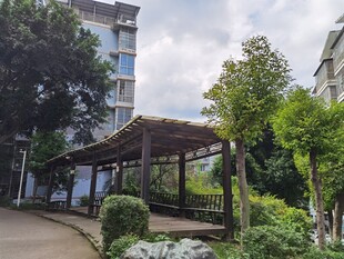 庭院中的木质凉亭与绿植