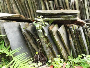 瓦片堆叠与绿植景观