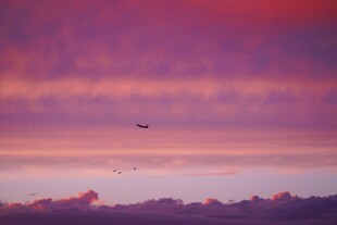 晚霞中飞鸟翱翔的天空
