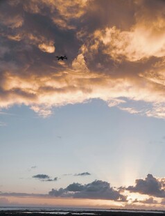 夕阳下飞鸟与绚烂云彩