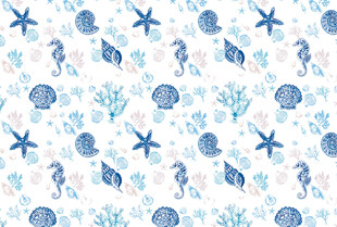 海马珊瑚贝壳海螺 海星 