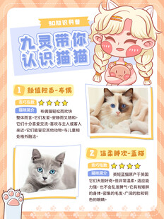 认识猫猫宠物宣传页