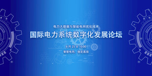 国际电力智能化发展论坛