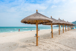 沙滩上的遮阳茅草伞