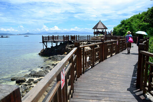 海边木栈道漫步景致