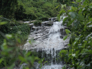 山间小瀑布绿意环绕