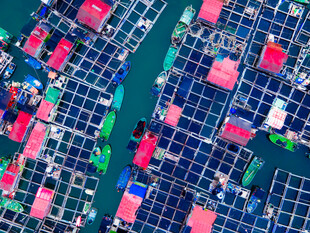 俯瞰多彩水产养殖区