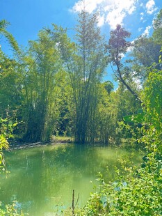 广西崇左明仕田园自然风景