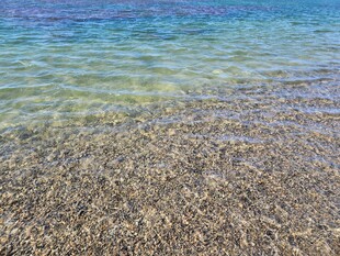 清澈海边浅滩的迷人景致