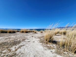 旷野荒草蓝天开阔景致