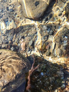 水底斑斓石块景象