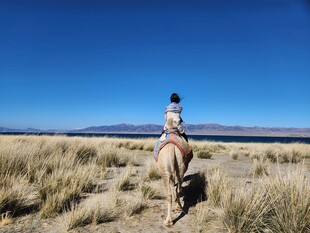 草原上骑马的人
