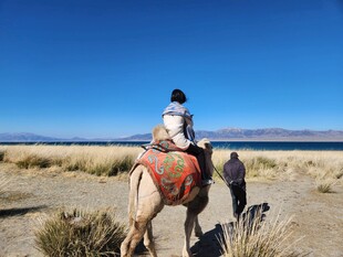 沙漠中骑骆驼的旅行者
