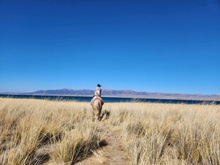 旷野中独行的人