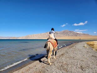 湖畔骑马者的悠然之旅