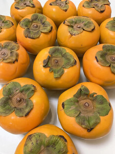 新鲜柿子整齐排列展示