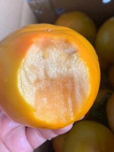 剥开的橙黄色柿子果肉