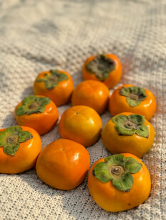 摆放整齐的新鲜小柿子